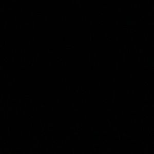 Meet your Posher, Owen